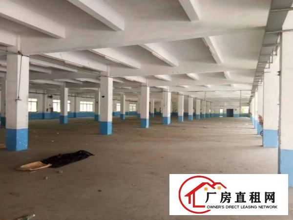 
清溪镇土桥工业园现有3000平标准一楼厂房可分租