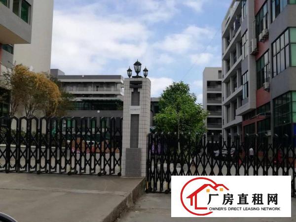 
清溪镇土桥工业园现有3000平标准一楼厂房可分租