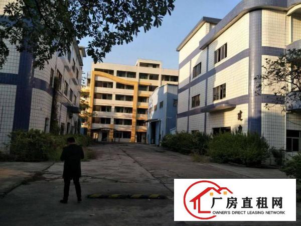 
清溪镇中心新出实际面积1400平带办公室装