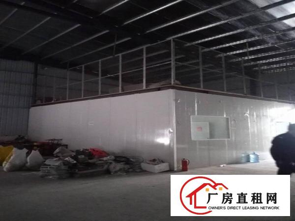 
上元工业园新出1200平钢构厂房低价出租