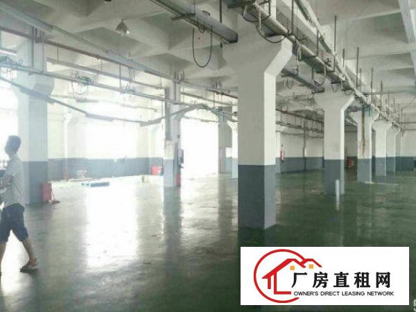 
清溪三中工业区附近新出一楼2100带牛角厂房出租近主干道