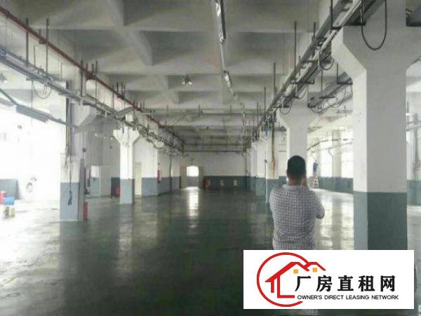 
清溪三中工业区附近新出一楼2100带牛角厂房出租近主干道
