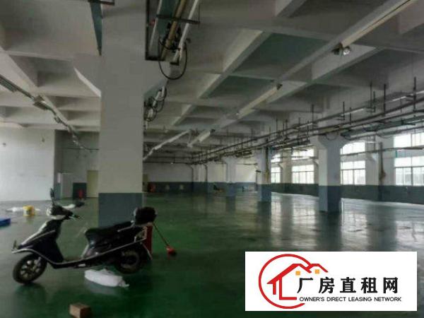 
清溪三中工业区附近新出一楼2100带牛角厂房出租近主干道