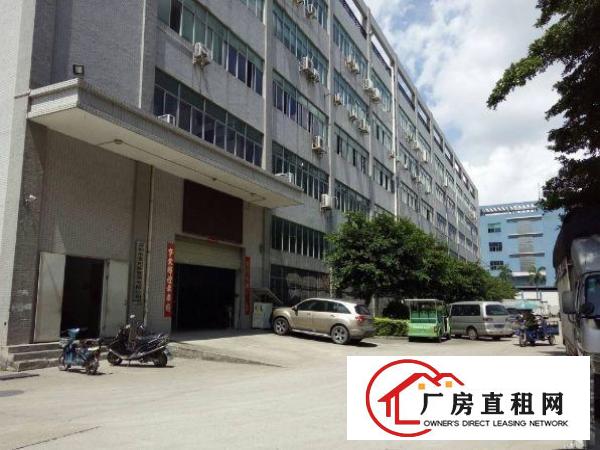 
清溪谢坑工业区新出6米高一楼1100平方厂房出租