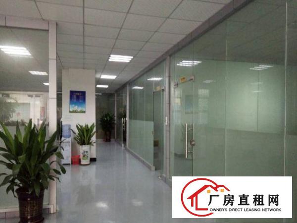 
清溪谢坑工业区新出6米高一楼1100平方厂房出租