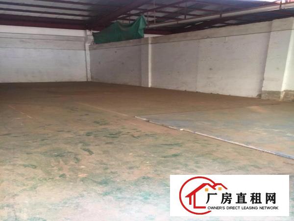 
清溪谢坑村工业园区厂房出租330平，精装修带水电