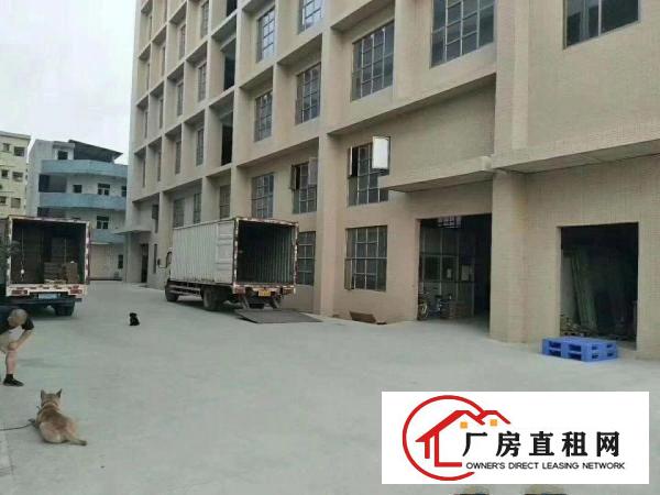 
清溪7层厂房，单层面积1380平，可做电池！