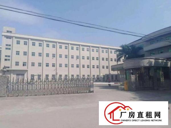 
清溪红本厂房招租85000平方，有多栋，可分租