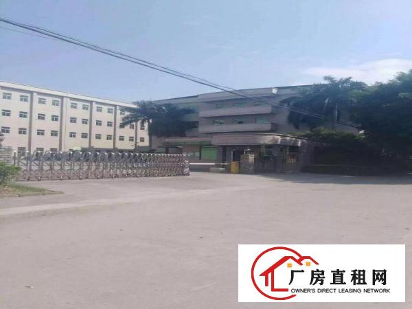 
清溪红本厂房招租85000平方，有多栋，可分租