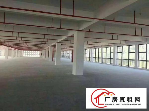 
清溪红本厂房招租85000平方，有多栋，可分租