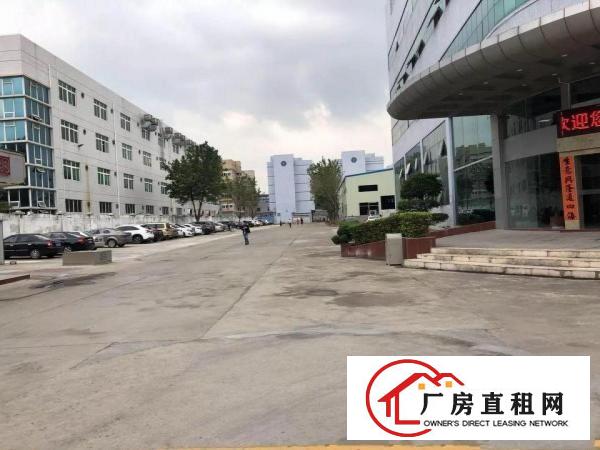 
清溪镇工业园5800平方钢构厂房空地大位置形象好