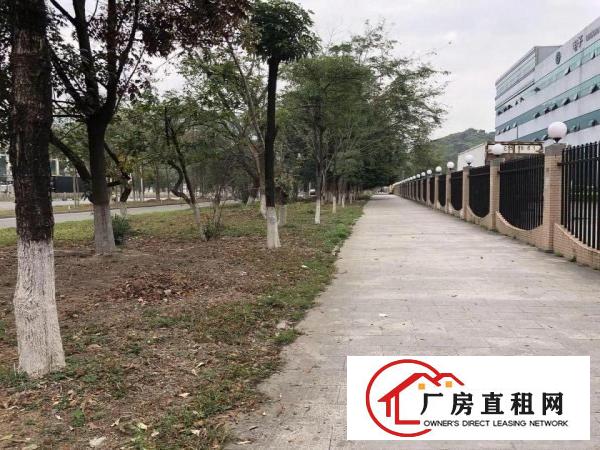 
清溪镇工业园5800平方钢构厂房空地大位置形象好
