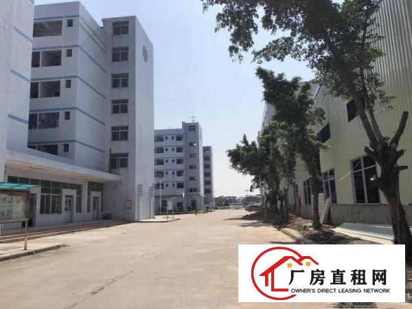 
清溪镇大路边3600平方标准厂房层高7.5米形象好