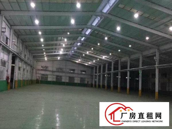 
清溪三中独栋单一层8500平米12米高厂房出租