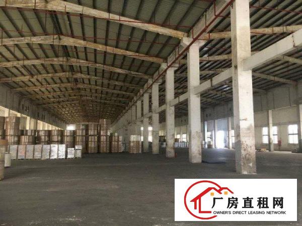 
清溪三中独栋单一层8500平米12米高厂房出租