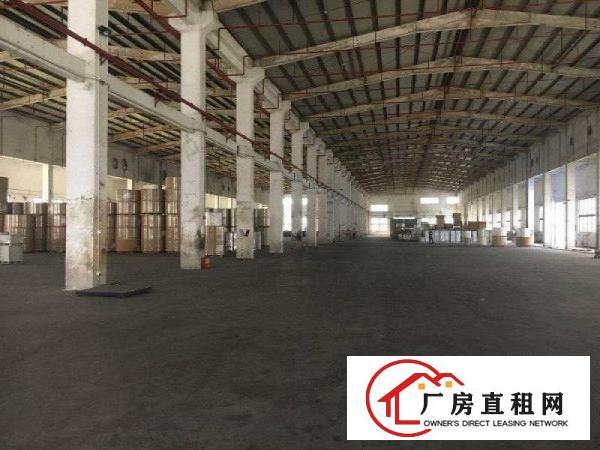 
清溪三中独栋单一层8500平米12米高厂房出租