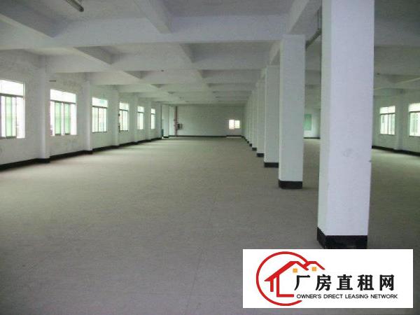 
清溪镇（上元）900平方厂房出租可分租