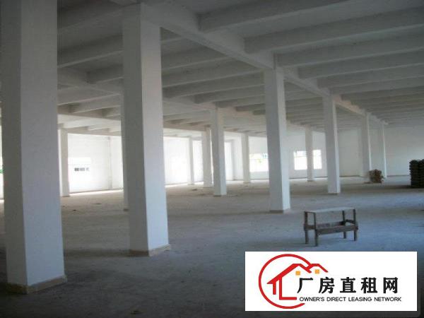
清溪镇（大浦）800平方厂房出租