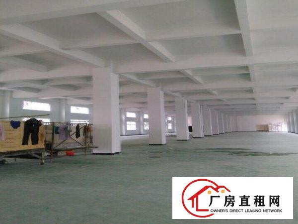 
清溪镇（三星）1000平方厂房出租（可分租）