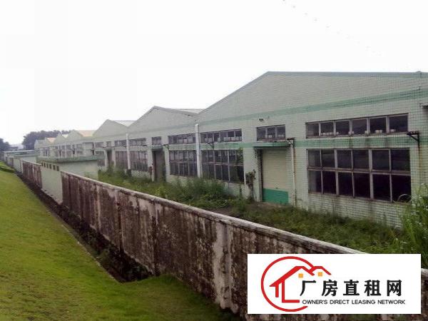 
清溪镇100到8000平方厂房出租.