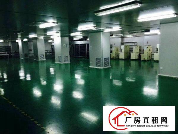 
清溪靠塘厦2400平整层无尘车间水电线路齐全租