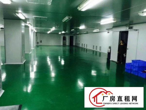 
清溪靠塘厦2400平整层无尘车间水电线路齐全租
