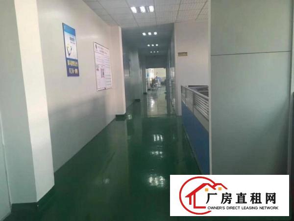 
清溪3楼1400平方带装修办公室厂房出租可做电池！