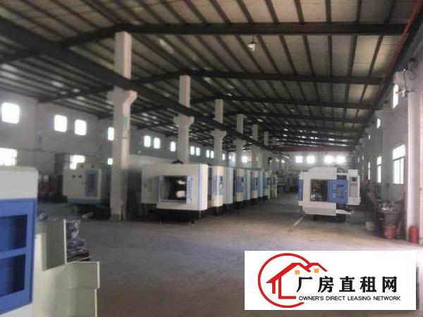 
清溪原房东独院20000平方单一层一楼10米带行车