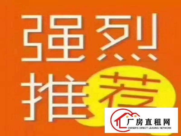
清溪原房东独院20000平方单一层一楼10米带行车