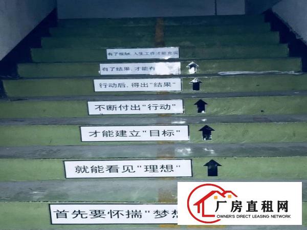 
清溪原房东独院20000平方单一层一楼10米带行车