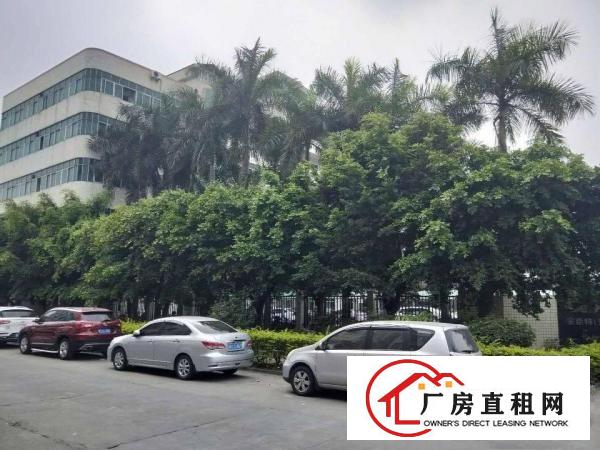 
清溪高速路口1公里大型工业园内独栋滴水12米单一层