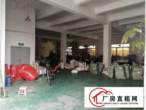 
清溪标准厂房一楼750平方现成办公室装修！18块！