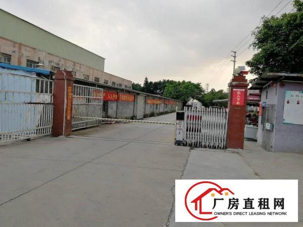 
清溪独门独院6000一楼7米带5t行车现成办公装修