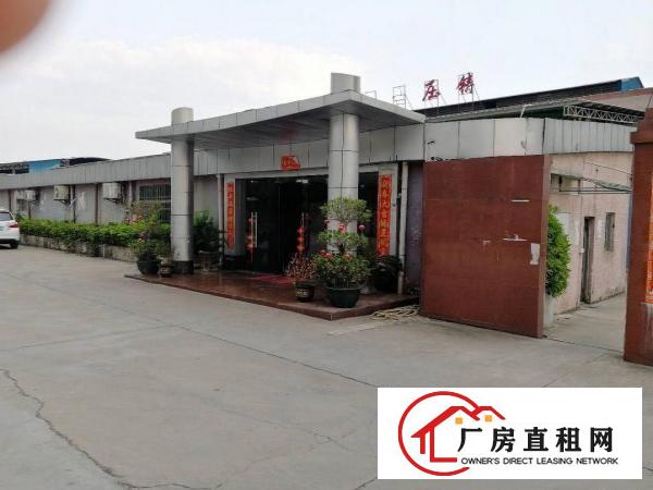 
清溪独门独院6000一楼7米带5t行车现成办公装修