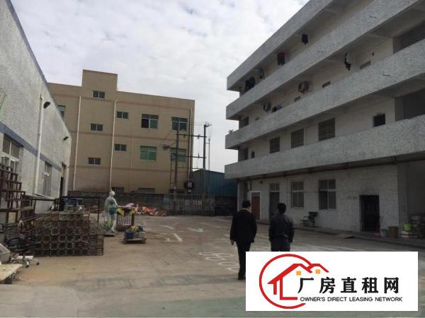 
清溪镇新出独院单一层钢构厂房出租