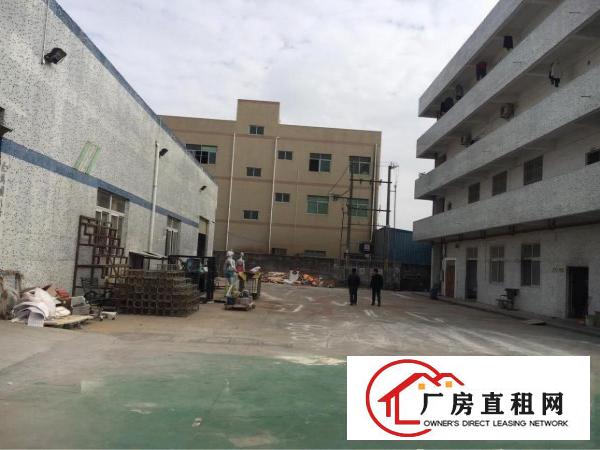 
清溪镇新出独院单一层钢构厂房出租