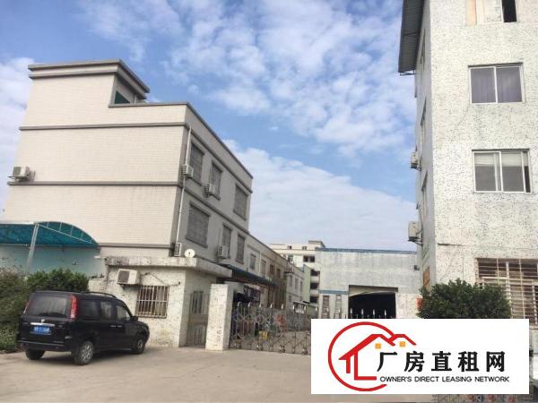 
清溪镇新出独院单一层钢构厂房出租