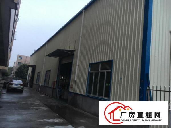 
清溪镇新出钢构一楼500平方出租