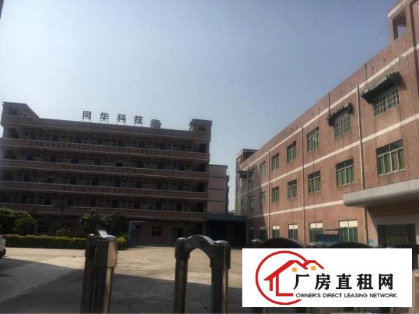 
清溪镇新出标准独院厂房招租