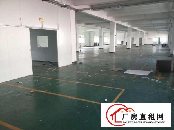 
清溪镇新出楼上带装修厂房出租