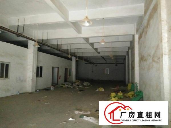 
清溪高速出口新出标准一楼厂房650出租水电齐全