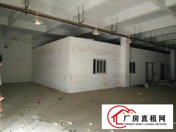 
清溪高速出口新出标准一楼厂房650出租水电齐全