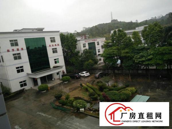 
（靓盘）清溪三中新出楼上厂房1500平方出租形象好