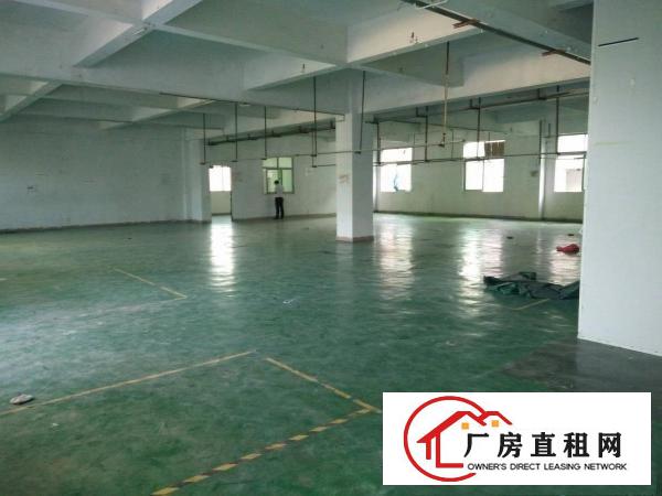 
（靓盘）清溪三中新出楼上厂房1500平方出租形象好