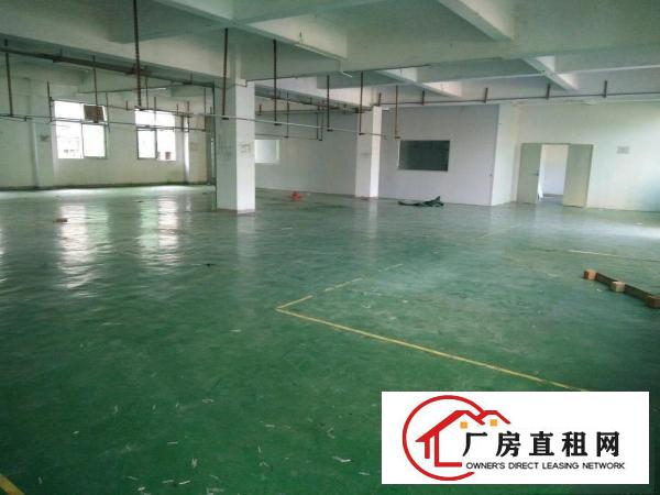 
（靓盘）清溪三中新出楼上厂房1500平方出租形象好
