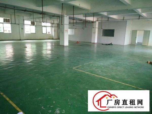 
（靓盘）清溪三中新出楼上厂房1500平方出租形象好