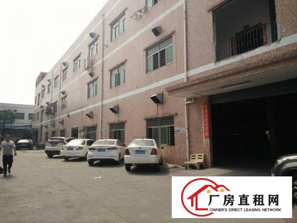 
（靓盘）清溪镇近凤岗新出一楼厂房1350带地坪漆