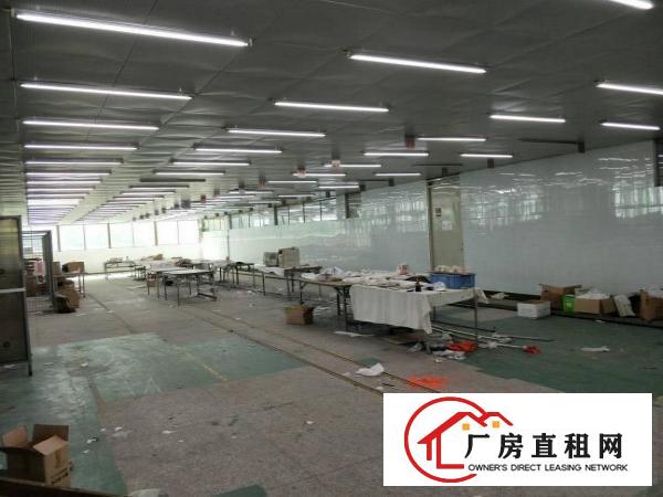
清溪高速出口原房东红本厂房、12800平招租