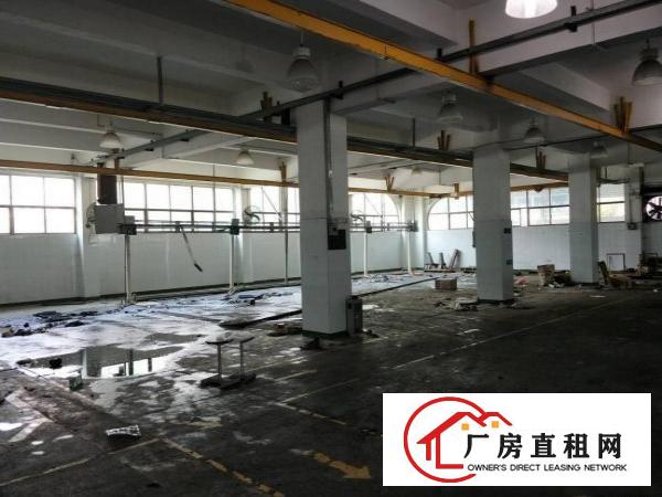 
清溪高速出口原房东红本厂房、12800平招租