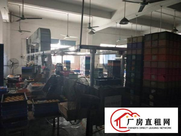 
清溪汽车站旁边新出喷油厂房400平、易招工